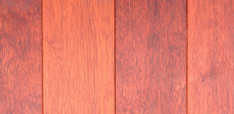 Merbau
